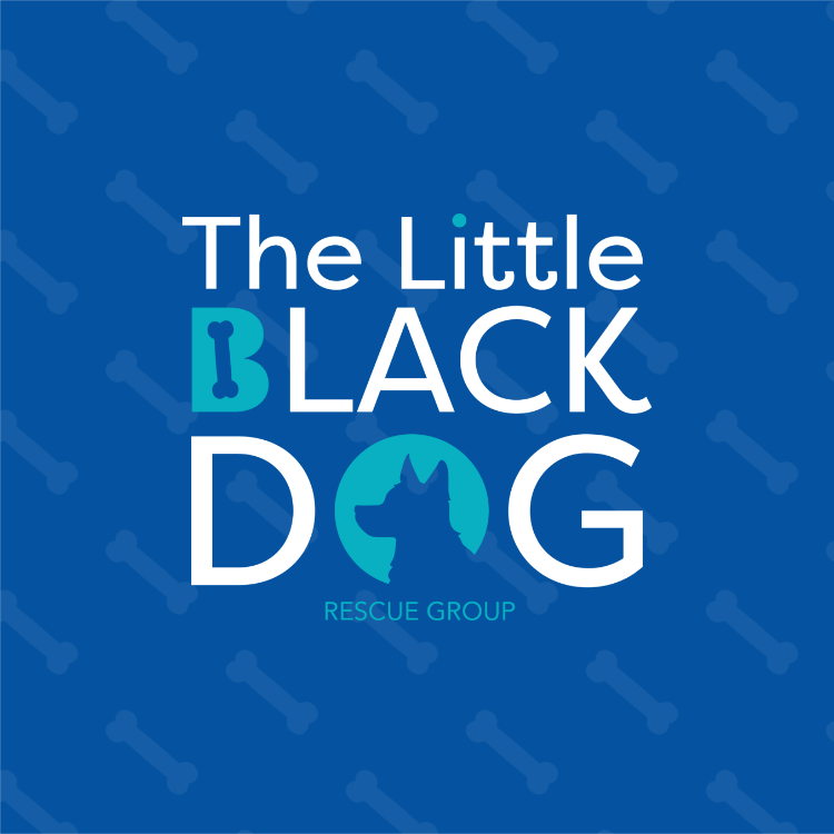 Little Black Dog Website Portfolio